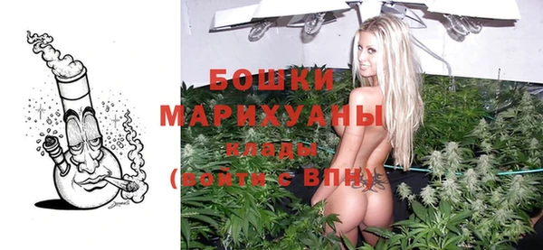 гидра Алексеевка