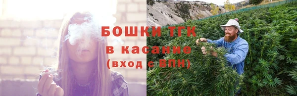 гидра Алексеевка